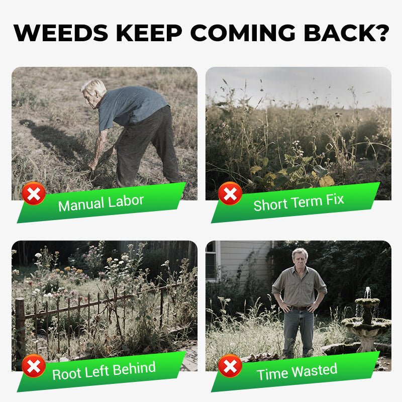 Cyclosinone Herbicide Granules | 🔥FREE CLIMBING ROSE SEEDS🔥
