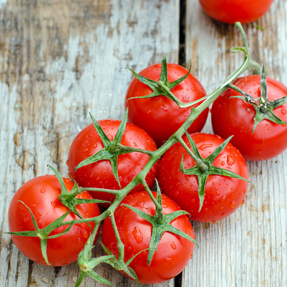 Dwarf Tomatoes Seeds | 🍅 Flat 50% Saving🍅 - Good Stuff Online Store