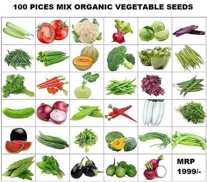 Geo-Grow™ -Geofabric Grow Bags for Planting - 5pcs Combo |🔥Free 100 Vegetable Seeds Mix Variety🔥