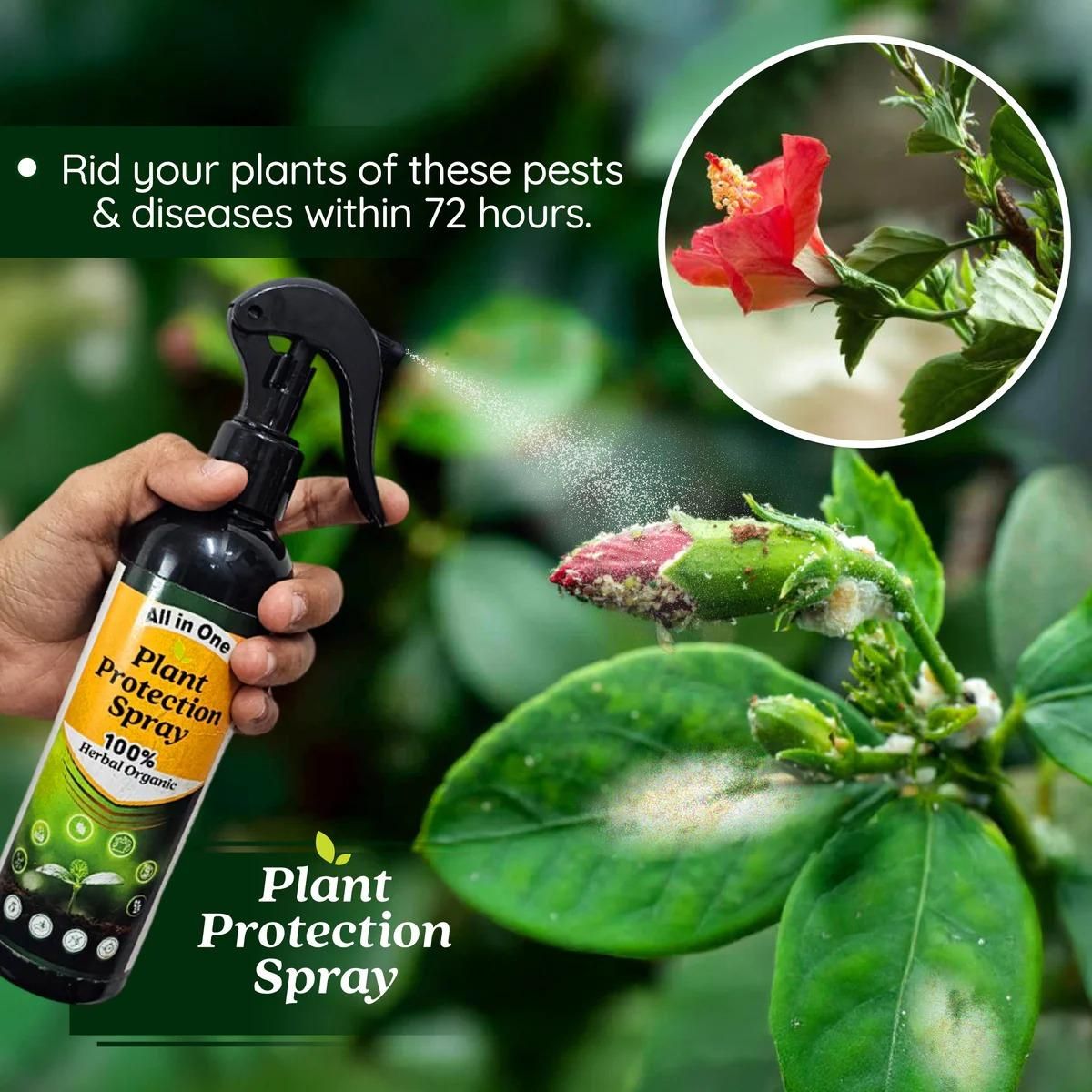LeafGuard™ - All in One Plant Protection Spray 🌿🛡️(Buy 1 Get 1 Free🔥🔥) - Good Stuff Online Store